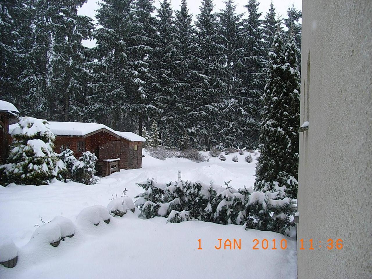 Blechleppel - Die Pension Im Harz Benneckenstein Bagian luar foto